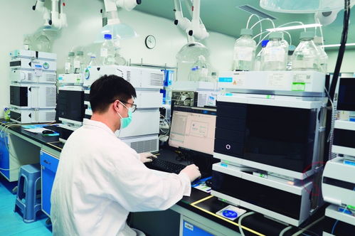 錨定生物技術(shù)核心 熱景生物以“出海”與“深耕”雙輪驅(qū)動(dòng)技術(shù)研發(fā)